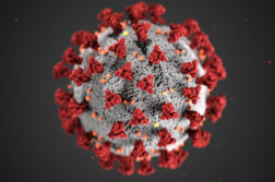 corona virus