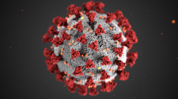corona virus