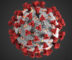 corona virus