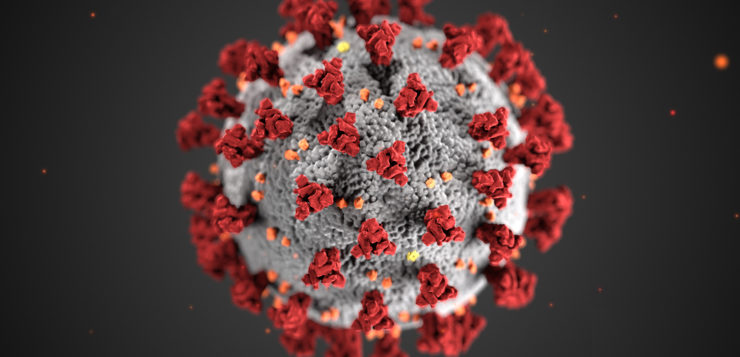 corona virus