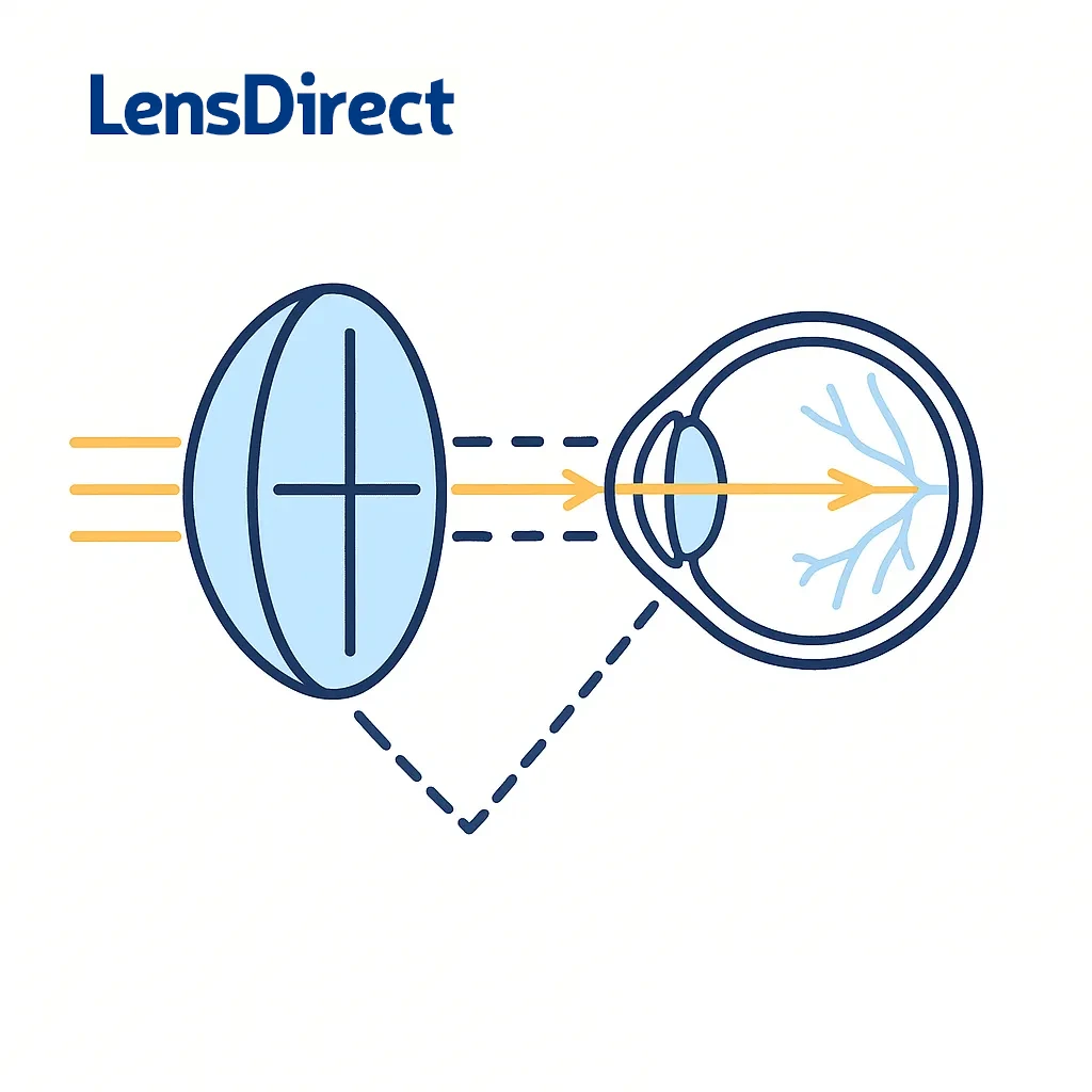 Illustration explains how toric contact lenses with dual curvatures focus light on a single retinal point to reduce distortion and improve clarity.