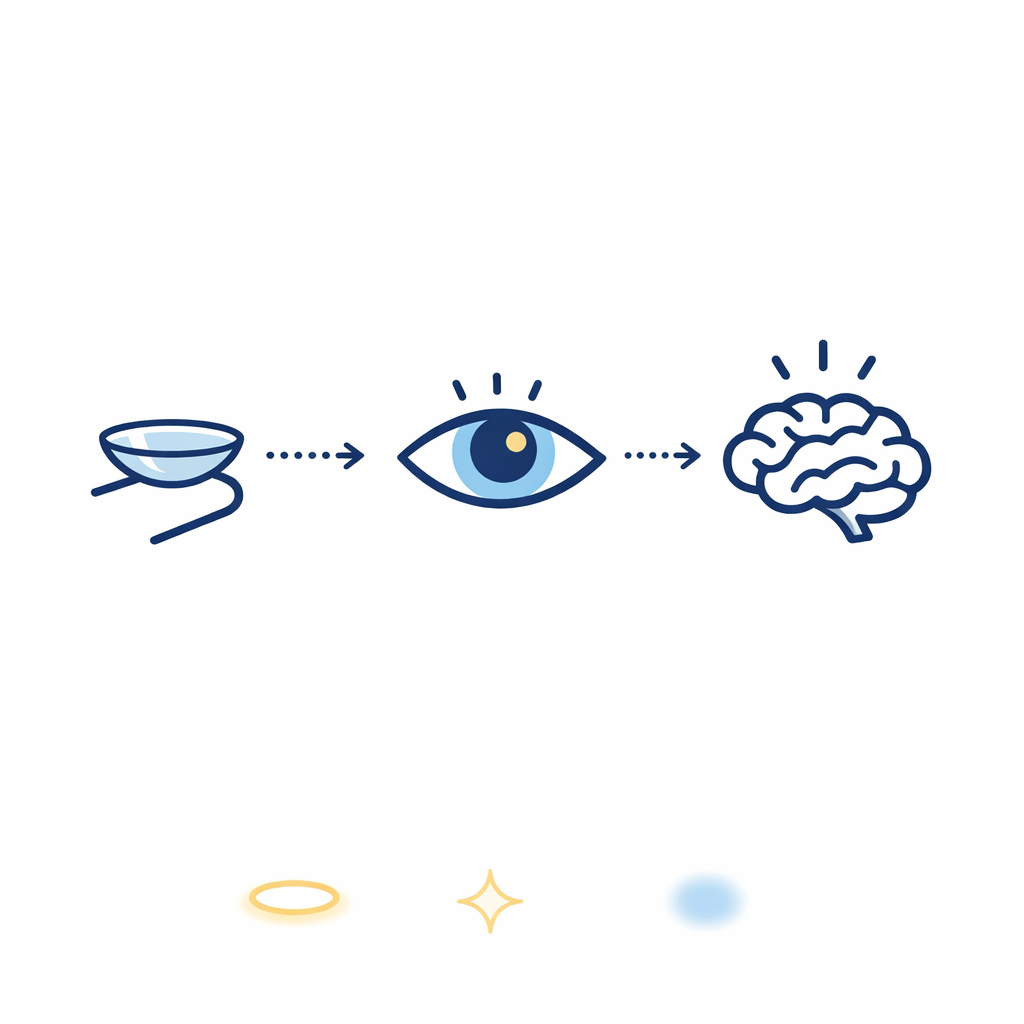 A lens, eye, and brain icon are linked by dotted lines to show visual adaptation over time.